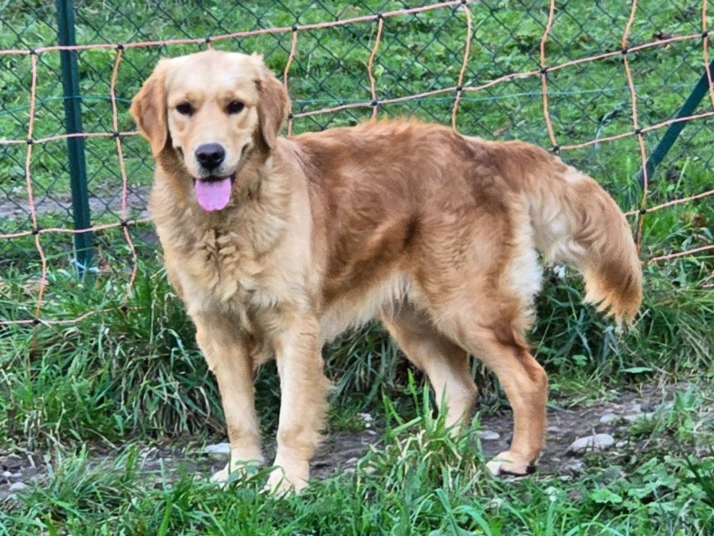 Upsie des eclats du laser